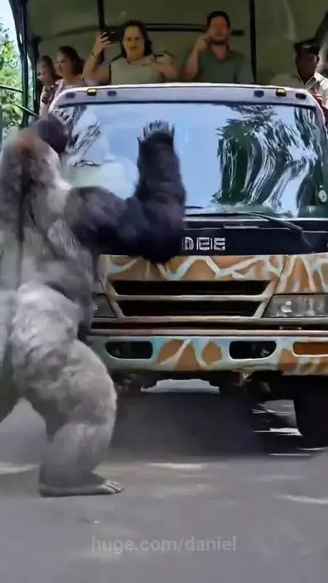 Gorilla in a suit breaking a tree to help a safari bus in a jungle setting.