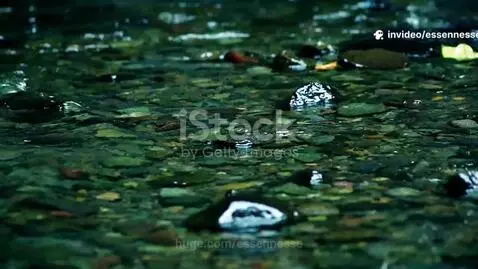 video poster