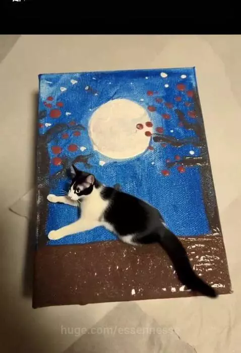 Cat art by essennesse