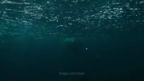 Stormy ocean with large waves crashing against rugged cliffs, featuring a great white shark underwater.