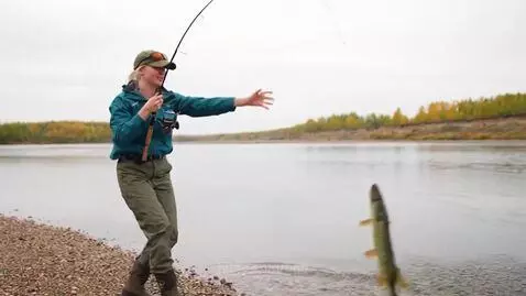 Woman in teal jacket and cap fishing, successfully catches a large pike jumping out of the water.