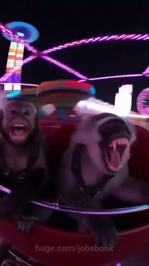 They having fun by jobsbonk