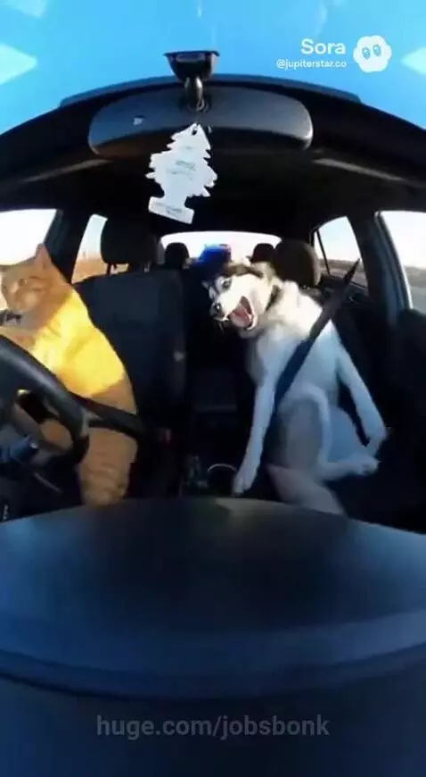 What could they have done? Getting chased by the cops? by jobsbonk