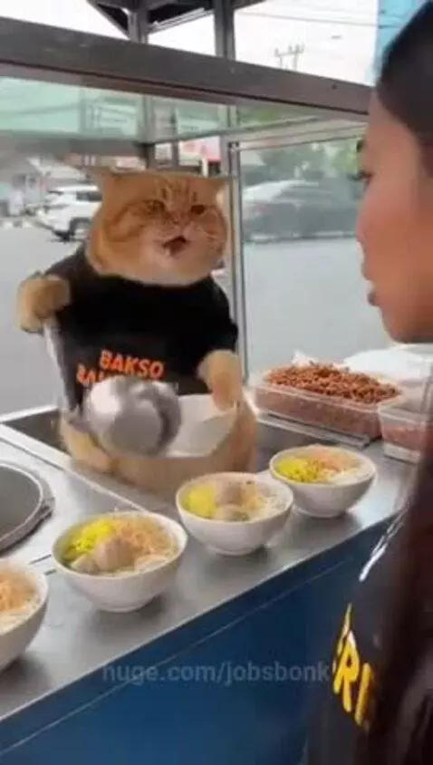 Cats always have attitude 🐱🐈 by jobsbonk