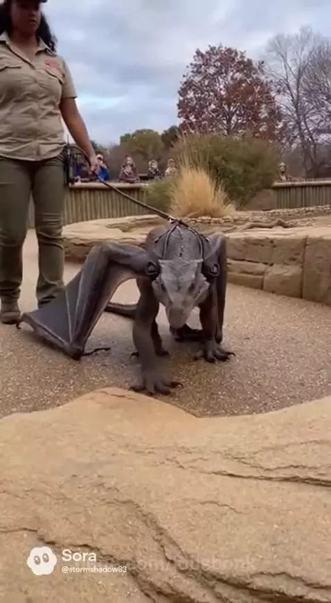 Woman walking a large, grey, dragon-like animatronic creature on a leash, with wings and smoke effects.