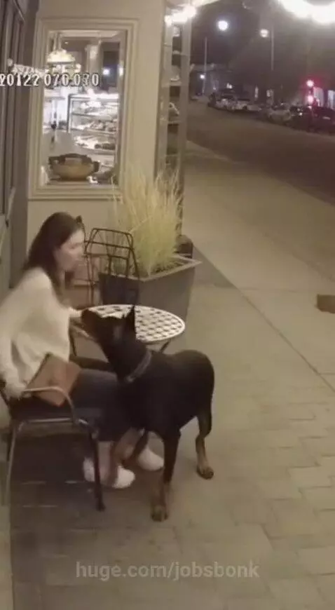 So chaotic, how did the car get there? by jobsbonk