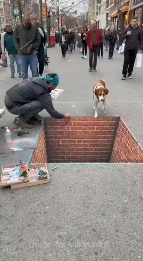 Dog pretends to enter a pit by jobsbonk