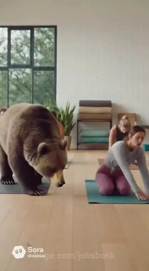Brown bear in a yoga class with women, attempting a pose.