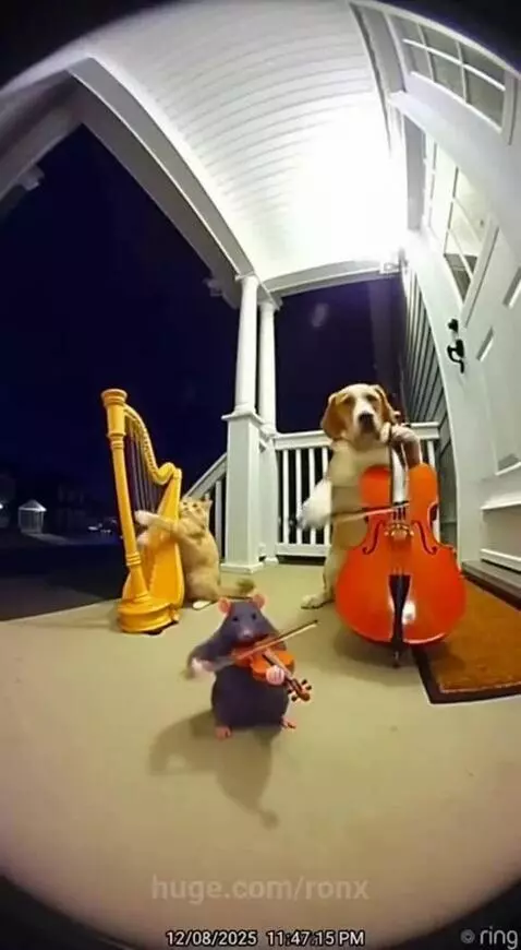 Would y’all give madam some sleep Time? by ronx