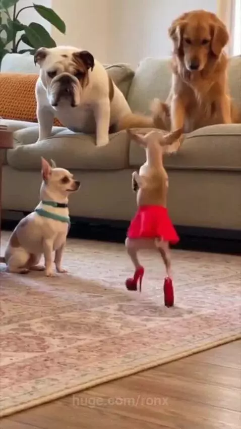 That one weird friend in the friend group by ronx