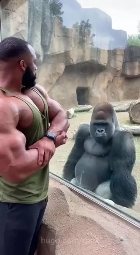 He got pissed by ronx