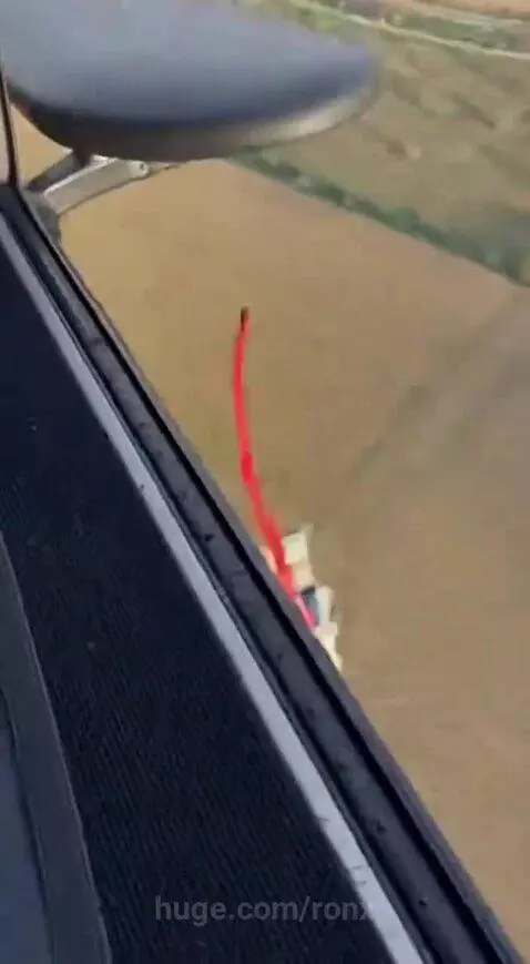 A pug dog wearing a blue harness stands on a platform outside a helicopter, enjoying the wind and view.