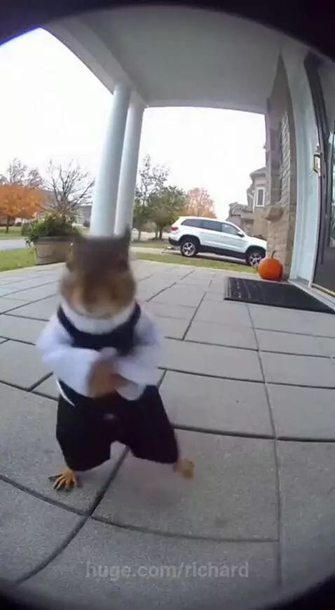 My brain at 3AM when trying to sleep by richard