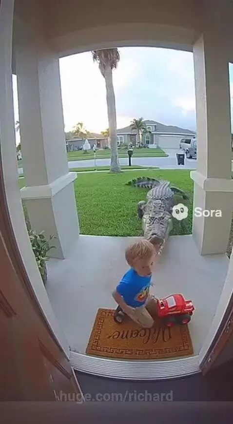 Is this real chat? by richard