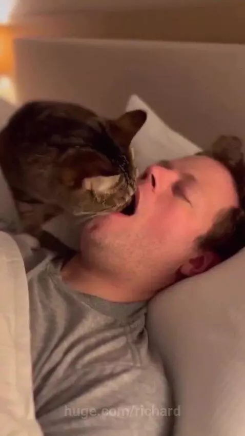 Oh noooooo by richard