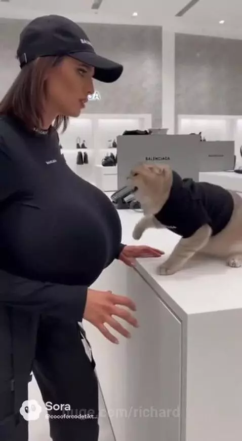 Meow didn’t like that by richard