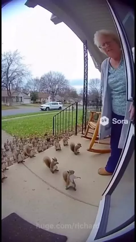 They want nuts by richard