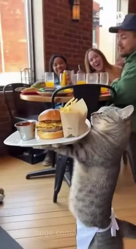 They were so suprised that they had to get a video by richard