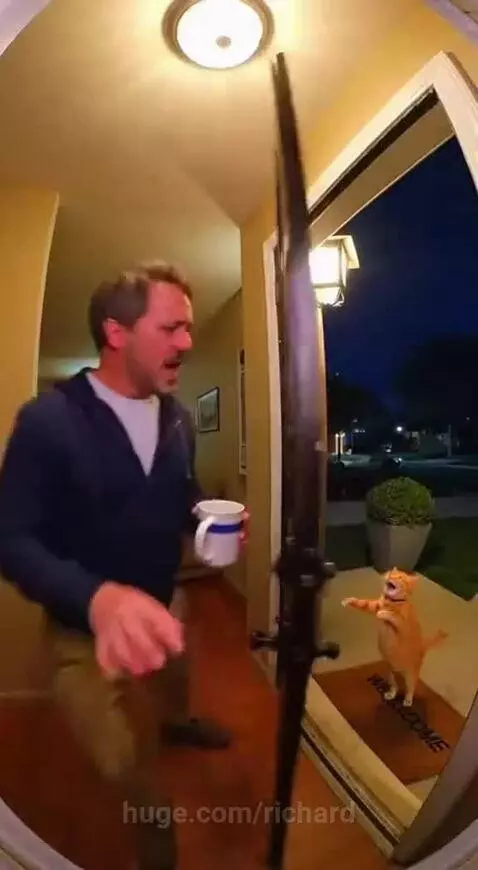 Such an angelic cat voice haha by richard