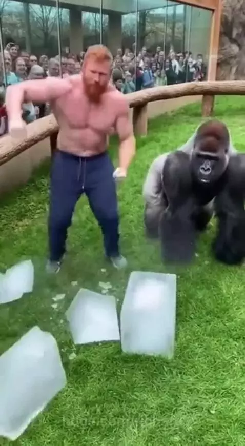 Shirtless man with red hair and a gorilla stand next to broken ice blocks, with a crowd watching.