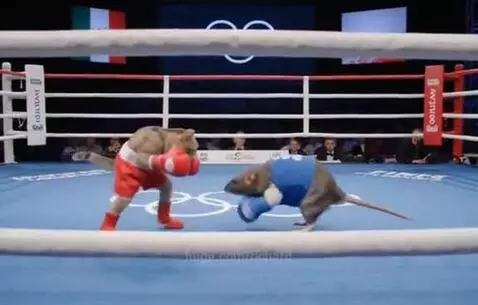 A cat and a rat wearing boxing gloves and shorts in a boxing ring, ready for a match.