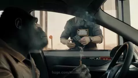 Testing? Bring in the Gorilla by nimeshed