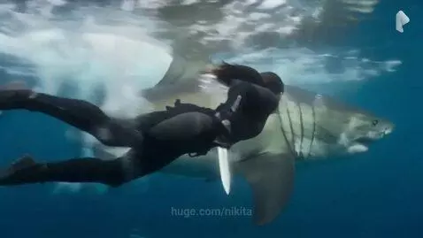 Lara Croft in a black wetsuit swimming underwater and pushing away a great white shark.