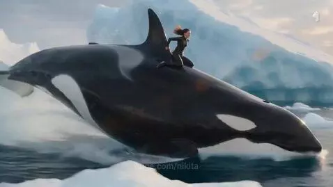 Woman in wetsuit smiling while riding on the back of a large orca breaching in icy ocean water with icebergs.