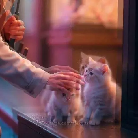 reaching into her vintage leather handbag, pulling out a coo... by alexgus