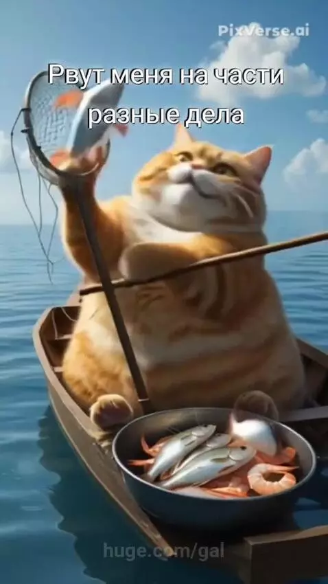 Занятой by gal