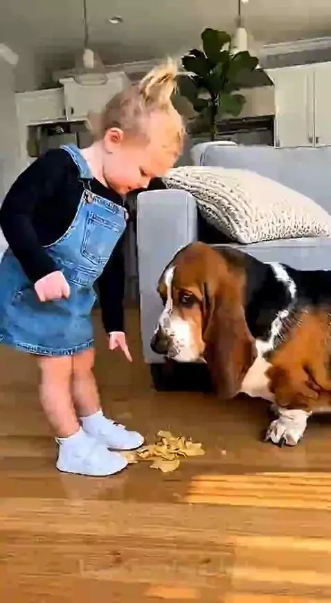 Tiny boss vs dog by vyaches