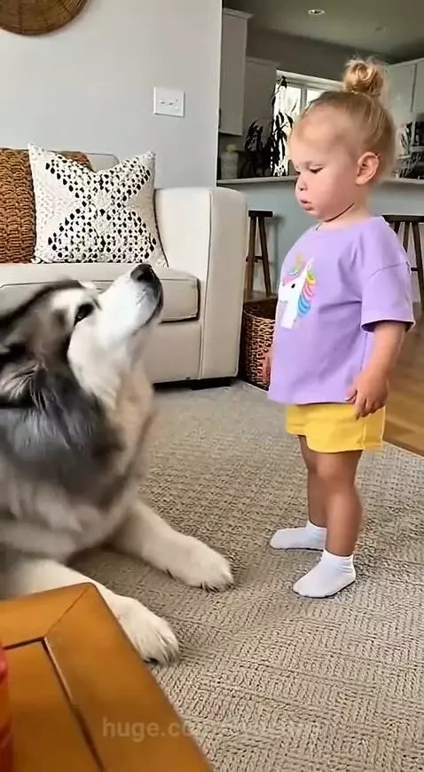 Baby boss vs dog . Subscribe to my YouTube channel using the... by vyaches