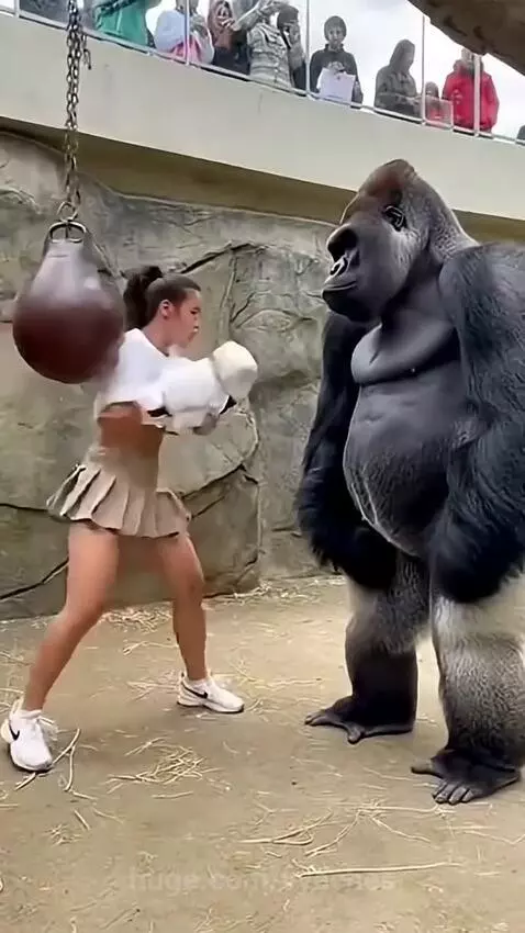 Funny  🤔🤔🤔👍Subscribe to my YouTube channel using the link in... by vyaches