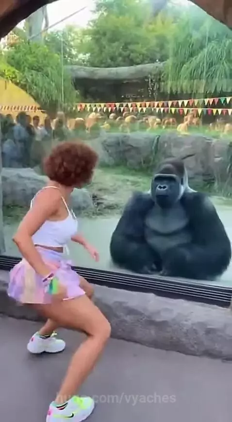 Dance  🤙🤙🤙💪💪💪💜💜💜 by vyaches