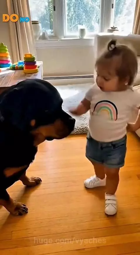 📌Subscribe to my YouTube channel using the link in my profil... by vyaches