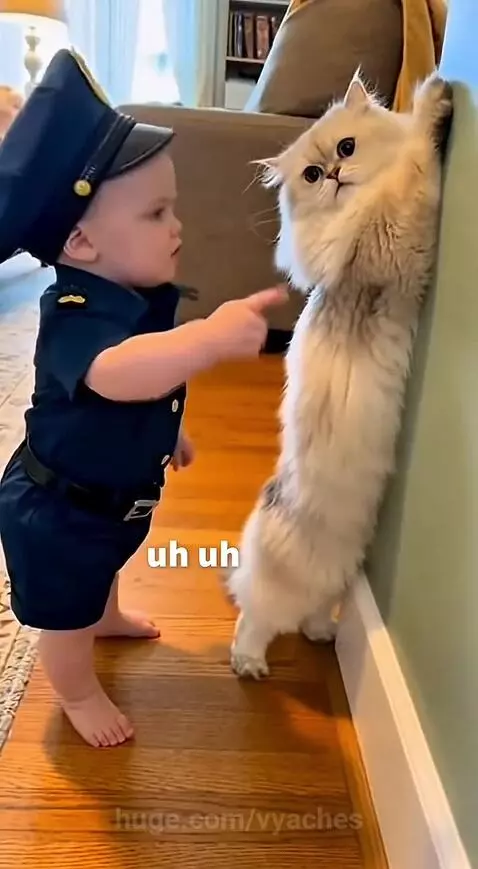 📌Subscribe to my YouTube channel using the link in my profil... by vyaches