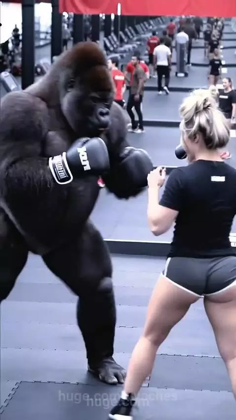 Subscribe to my YouTube channel using the link in my profile... by vyaches