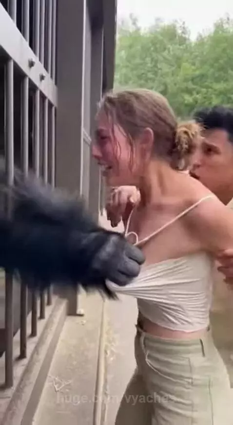 Subscribe to my YouTube channel using the link in my profile... by vyaches