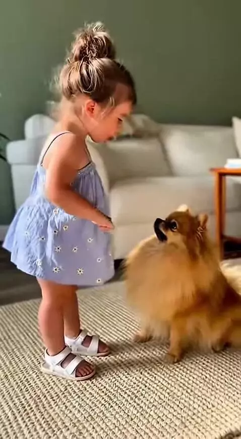 ❗Subscribe to my YouTube channel using the link in my profil... by vyaches