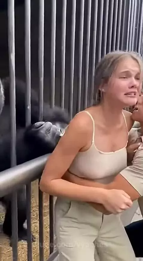 🐱🐱🐱Welcome to my profile and subscribe to my YouTube channel... by vyaches