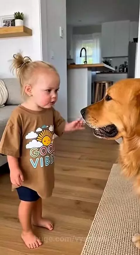 💙💙💙Subscribe to my YouTube channel using the link in my prof... by vyaches