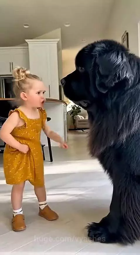 🔵🔵🔵🔴🔴🔴Visit my profile and subscribe to my YouTube channel u... by vyaches