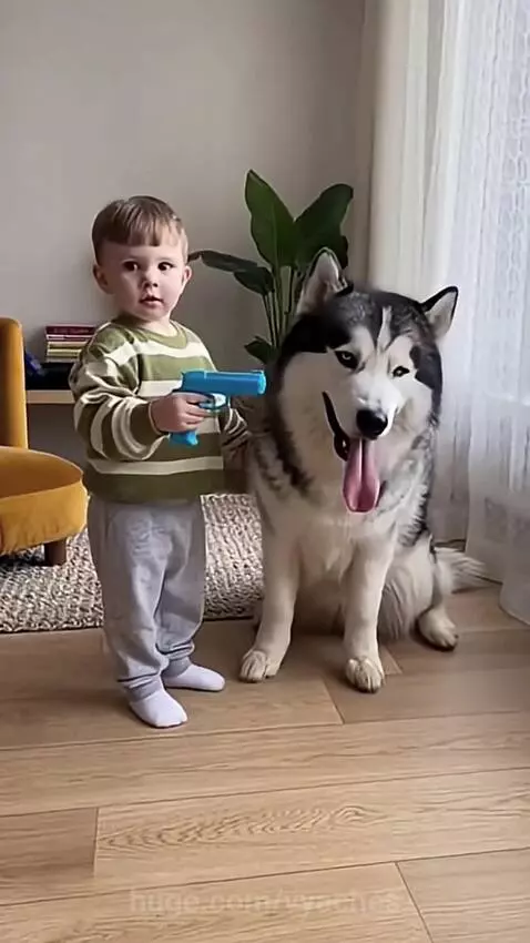 A young child holds a toy gun and points it at a husky dog, who is lying on the floor as if dead.