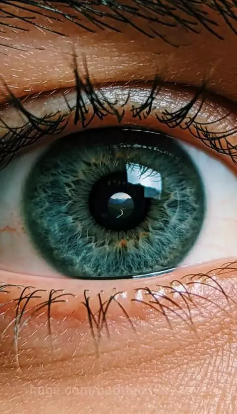 Transition by barbtech-creative