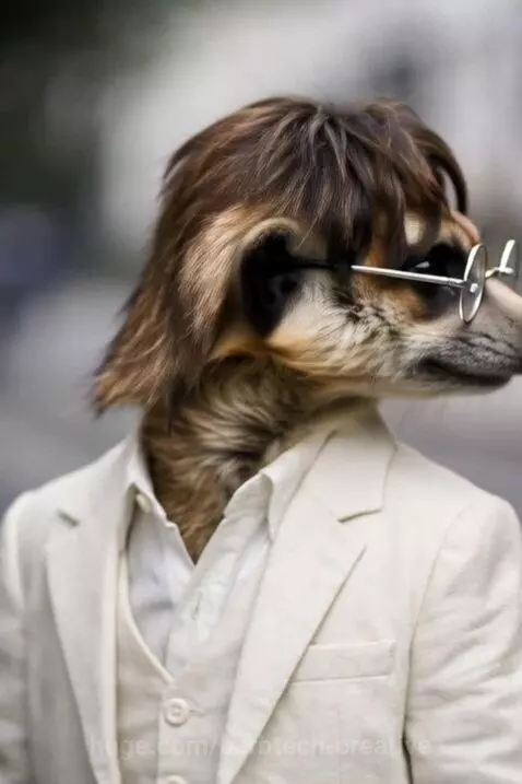 The Fur-Beatles by barbtech-creative