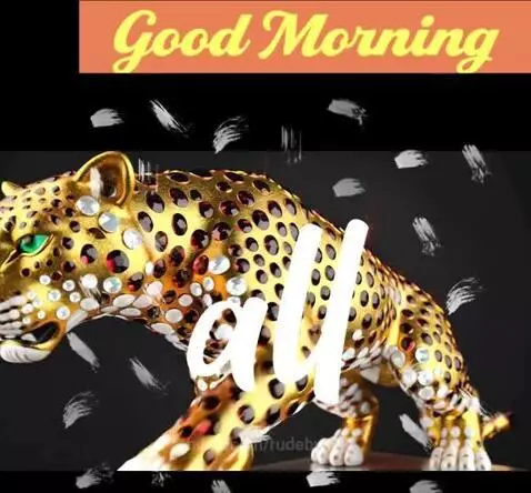 Morning Tiger by rudebwoy