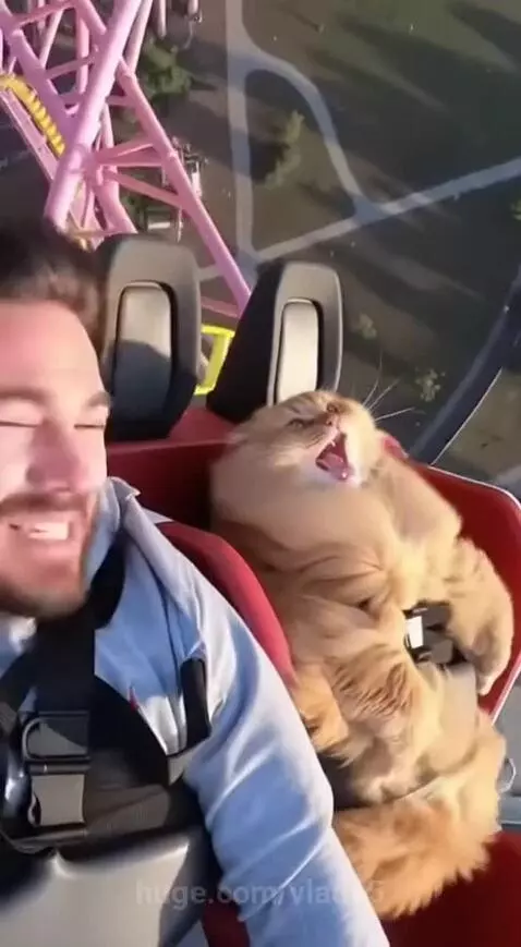 on a roller coaster by vlad15