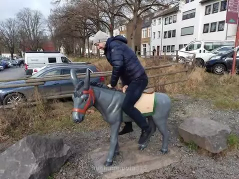 Forward my faithful friend! by vlad15