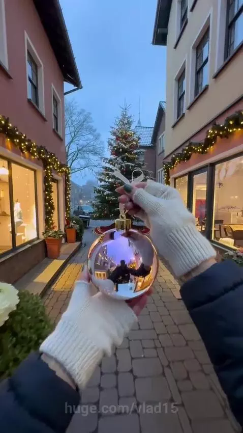 It's time to decorate the Christmas tree! by vlad15