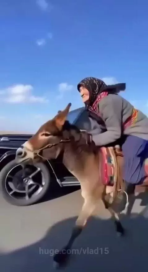 1000 donkey power by vlad15